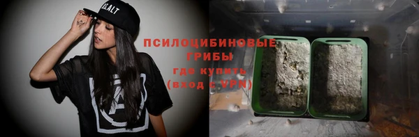 твердый Алзамай